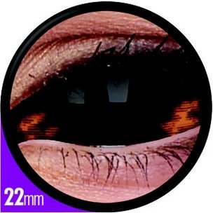 Sclera Morbius (6-Monatslinse) (1x2)