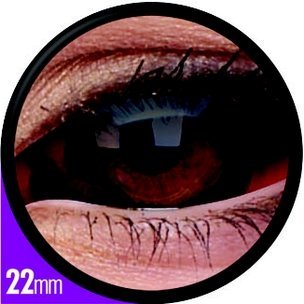 Sclera Quasar (6-Monatslinse) (1x2)